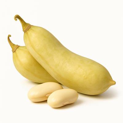 POROTO MANTECA(Con cáscara)