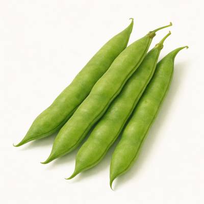 POROTO PEKY (Con cáscara)