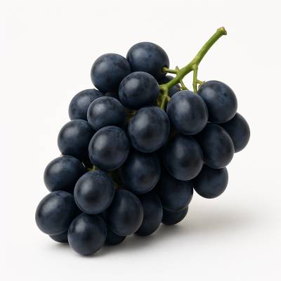 UVA NEGRA  